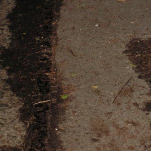 PICT0072.JPG