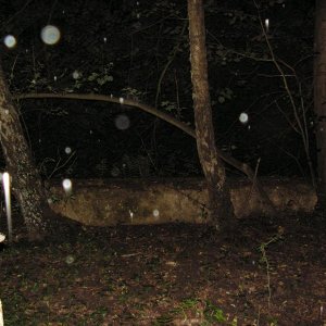 PICT0077.JPG