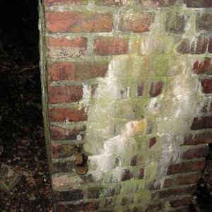 PICT0082.JPG