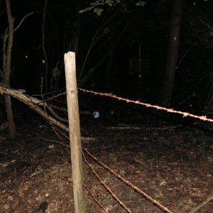 PICT0086.JPG