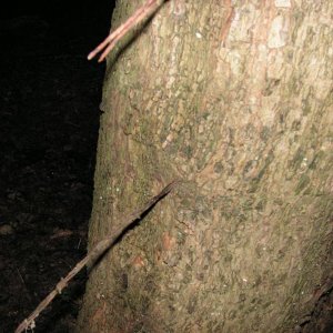 PICT0092.JPG