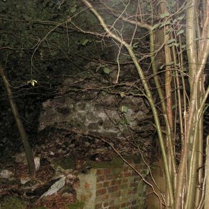 PICT0098.JPG