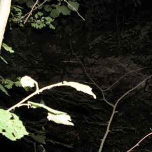 PICT0101.JPG