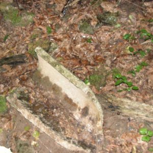PICT0104.JPG