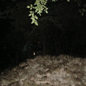 PICT0126.JPG