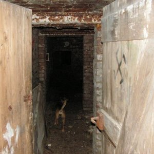 PICT0090.JPG