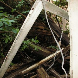 PICT0092.JPG