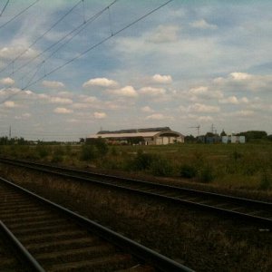 IMG_0485.jpg