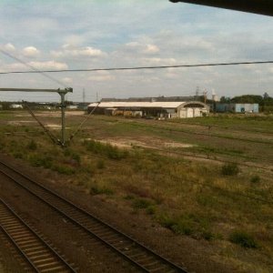 IMG_0496.jpg