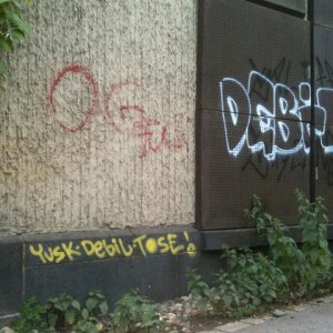 IMG_0514.jpg