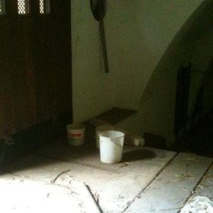 IMG_0528.jpg