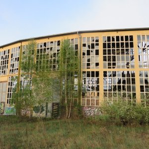 IMG_9221.JPG