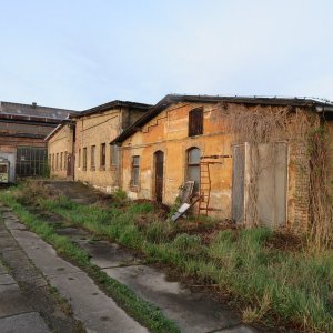 IMG_9208.JPG