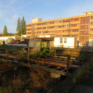 IMG_9268.JPG