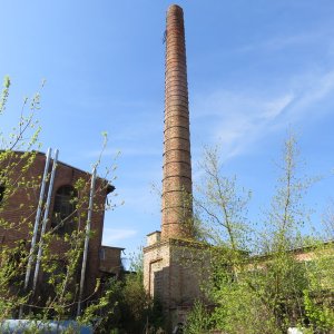 IMG_9100.JPG