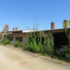 IMG_9074.JPG