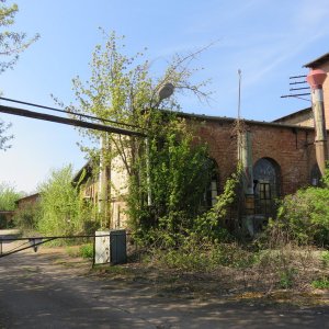 IMG_9102.JPG
