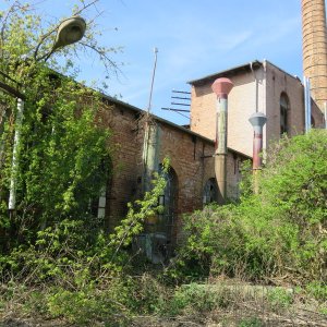 IMG_9105.JPG