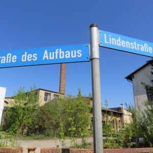 IMG_9064.JPG
