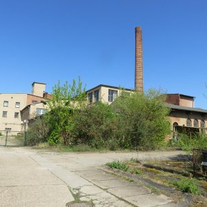 IMG_9062.JPG