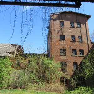 IMG_0810.JPG