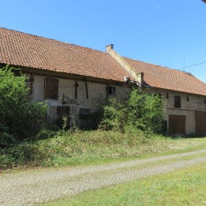 IMG_0783.JPG