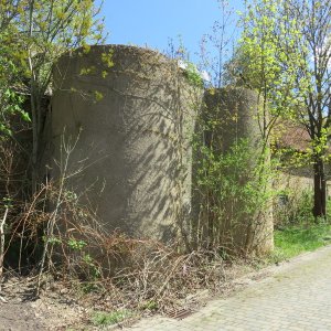 IMG_0968.JPG