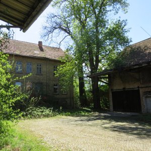 IMG_0785.JPG