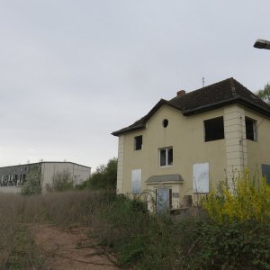IMG_7350.JPG