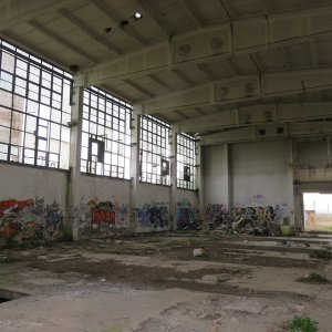 IMG_7353.JPG