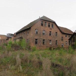 IMG_7316.JPG