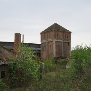 IMG_7396.JPG