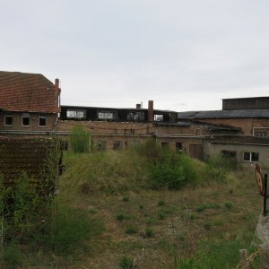 IMG_7375.JPG