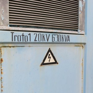 IMG_8320.JPG
