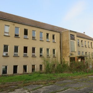 IMG_8288.JPG