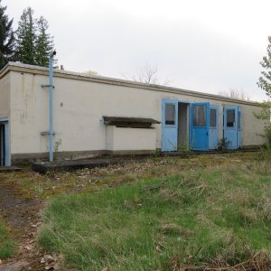 IMG_8460.JPG