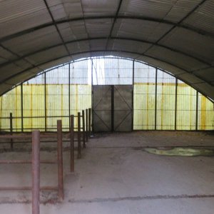 IMG_8441.JPG