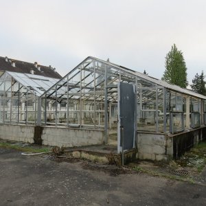 IMG_8427.JPG