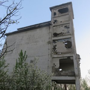 IMG_8480.JPG