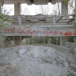 IMG_8481.JPG