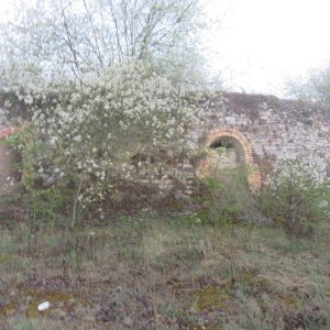 IMG_8474.JPG
