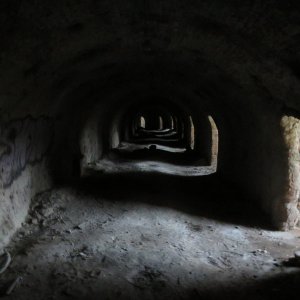 IMG_8497.JPG