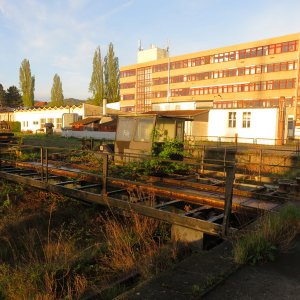 IMG_9265.JPG