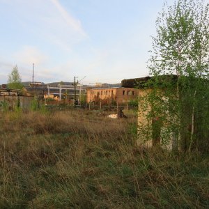 IMG_9236.JPG