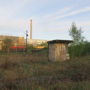 IMG_9247.JPG