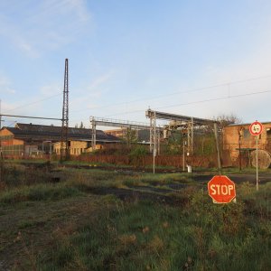 IMG_9250.JPG