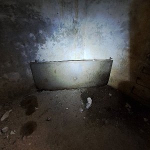 96.jpg