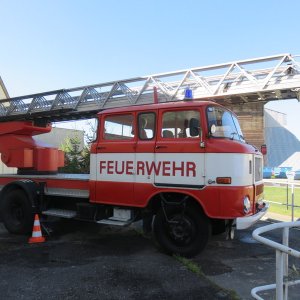 IMG_8677.JPG
