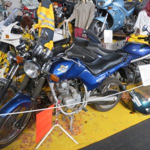 IMG_8870.JPG