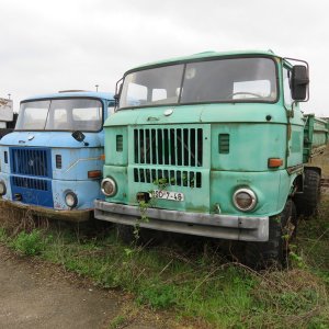 IMG_8135.JPG